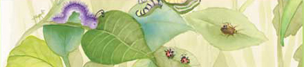insects on leaves from the book Henry and Harriet